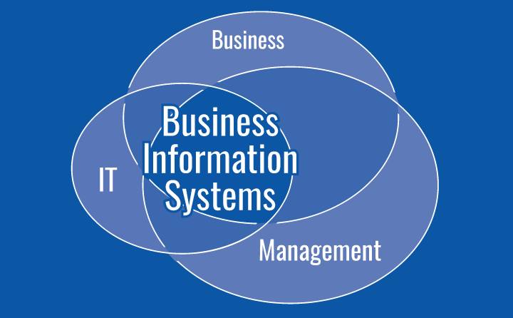 Business Information Systems Overseas Education Consultant Study 