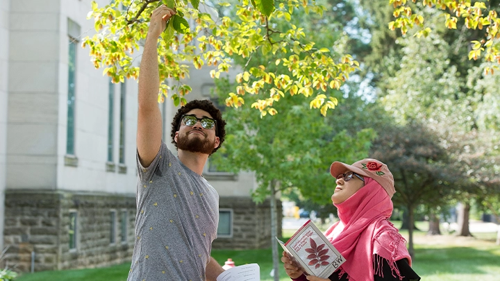 Students performing fieldwork for their botany class