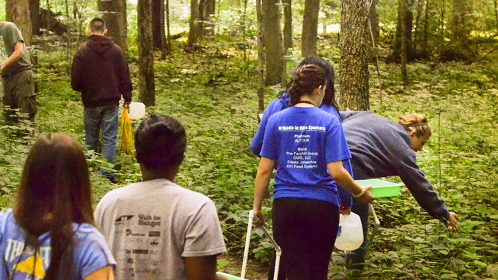 BW students perform fieldwork in a local forest