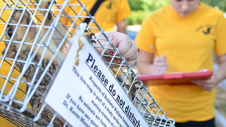 BW students conduct research on squirrels in their biology class