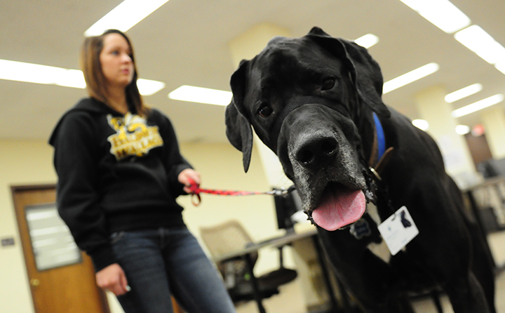 Photo of BW student with therapy dog